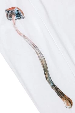 Huf X Pleasures Spore Longsleeve White -Urban Style Verkauf Huf x Pleasures Spore Longsleeve White1 57372 1280x1280